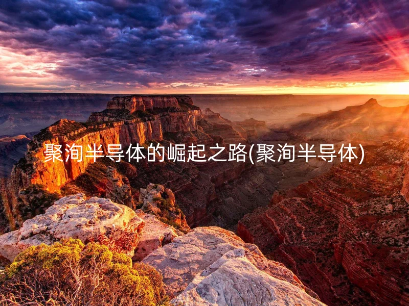 聚洵半导体的崛起之路(聚洵半导体)