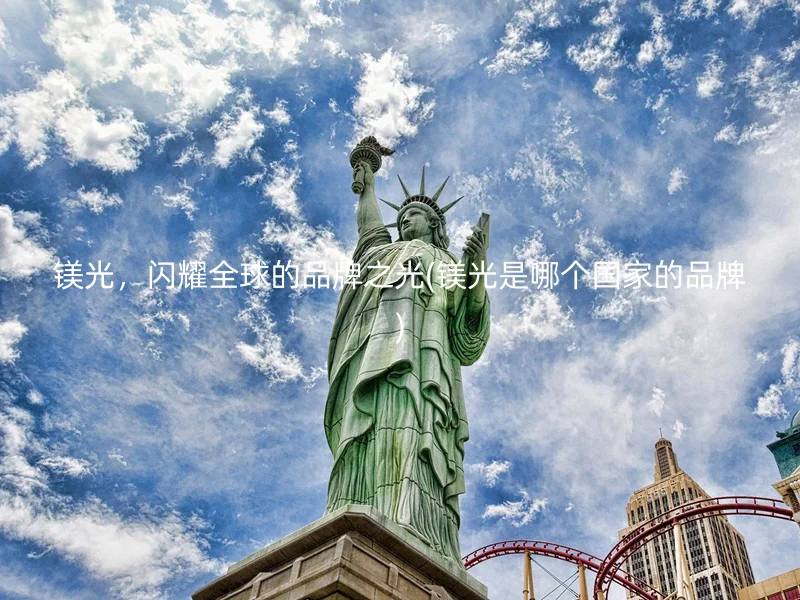镁光，闪耀全球的品牌之光(镁光是哪个国家的品牌)
