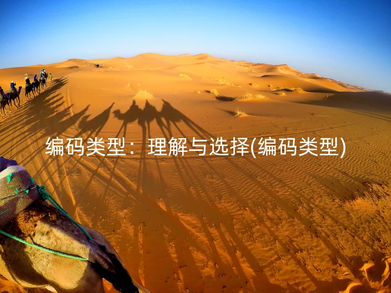 编码类型：理解与选择(编码类型)