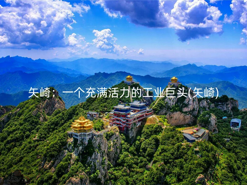 矢崎：一个充满活力的工业巨头(矢崎)