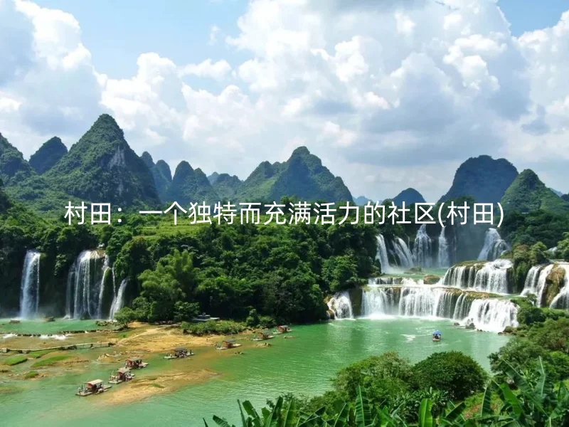 村田：一个独特而充满活力的社区(村田)