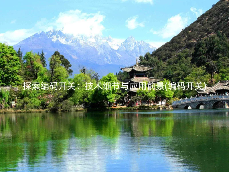 探索编码开关：技术细节与应用前景(编码开关)