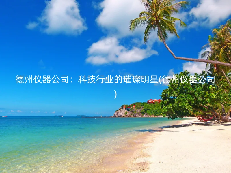 德州仪器公司：科技行业的璀璨明星(德州仪器公司)