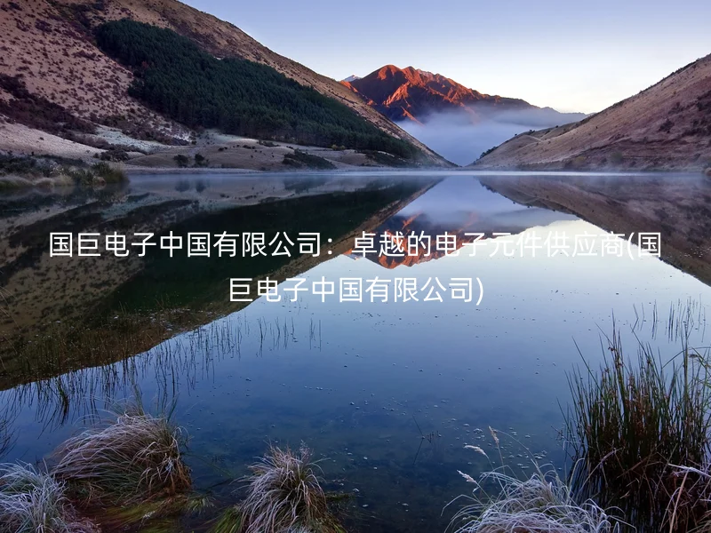 国巨电子中国有限公司：卓越的电子元件供应商(国巨电子中国有限公司)