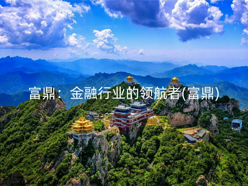 富鼎：金融行业的领航者(富鼎)