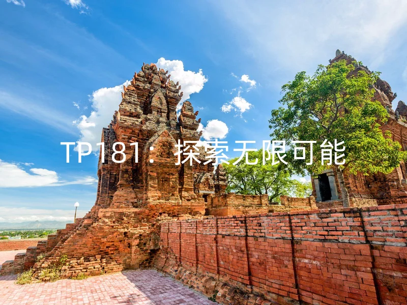 TP181：探索无限可能